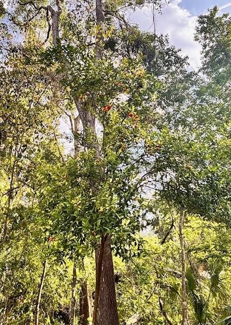 На продажу: $255,900 (3 спален, 2 ванн, 1710 Квадратных фут)