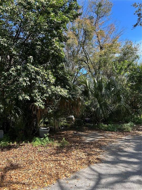 待售: $40,000 (0.15 acres)