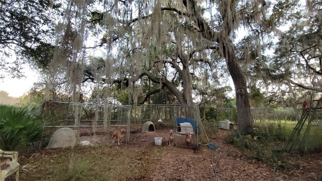 For Sale: $489,900 (3 beds, 2 baths, 1200 Square Feet)