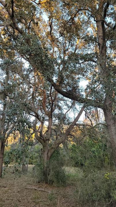 На продажу: $489,900 (8.21 acres)