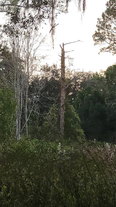 На продажу: $489,900 (8.21 acres)