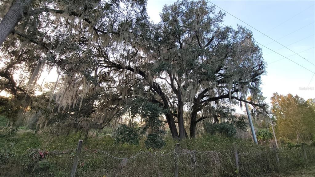 На продажу: $489,900 (8.21 acres)