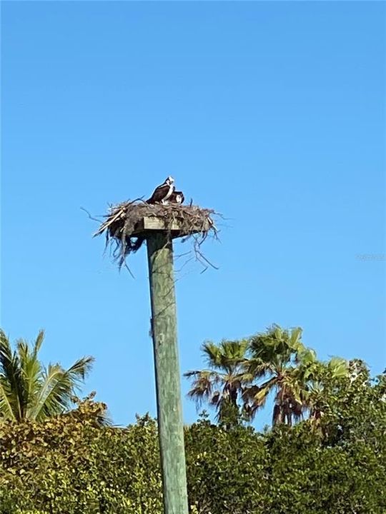 出租: $6,000 (3 贝兹, 2 浴室, 2488 平方英尺)
