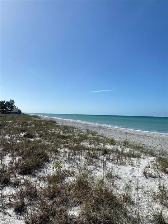 出租: $6,000 (3 贝兹, 2 浴室, 2488 平方英尺)