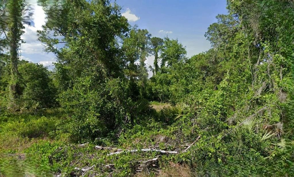 For Sale: $10,000 (0.28 acres)