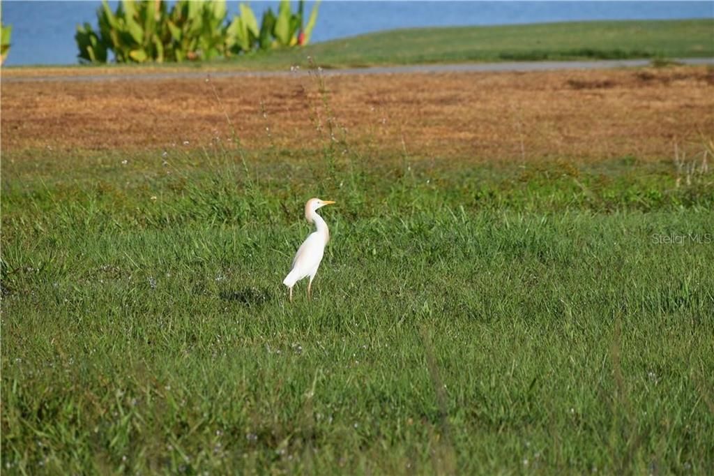 For Sale: $189,000 (0.32 acres)