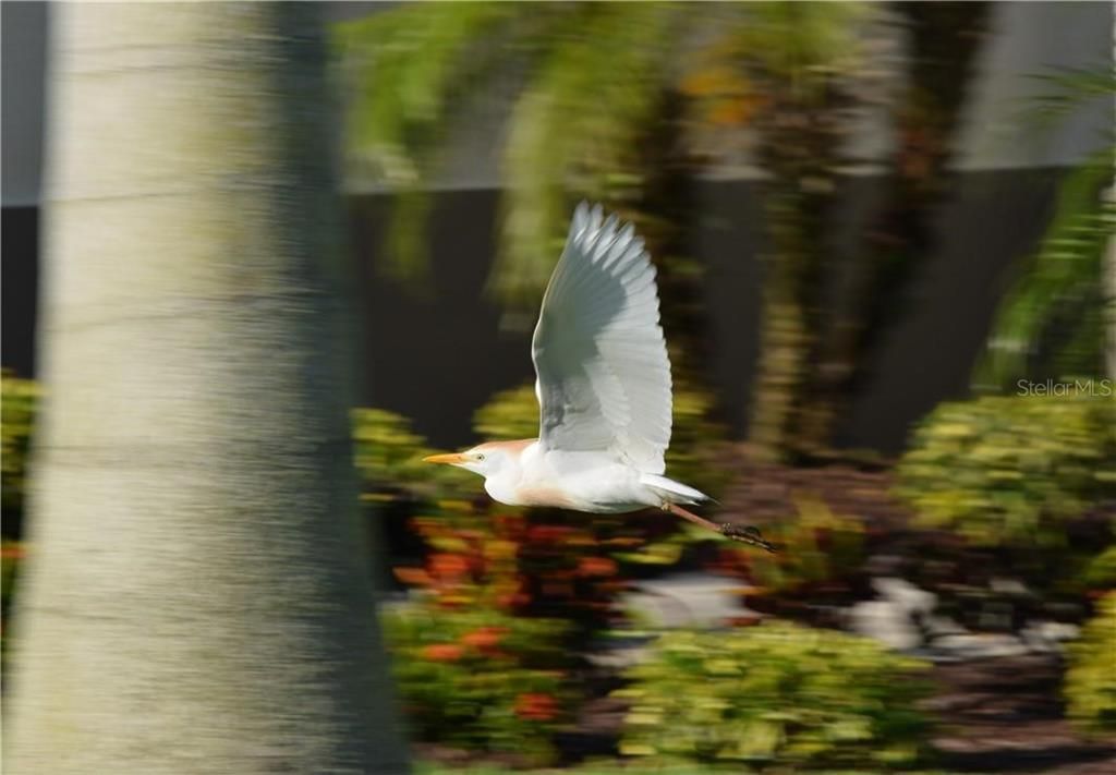 For Sale: $189,000 (0.32 acres)