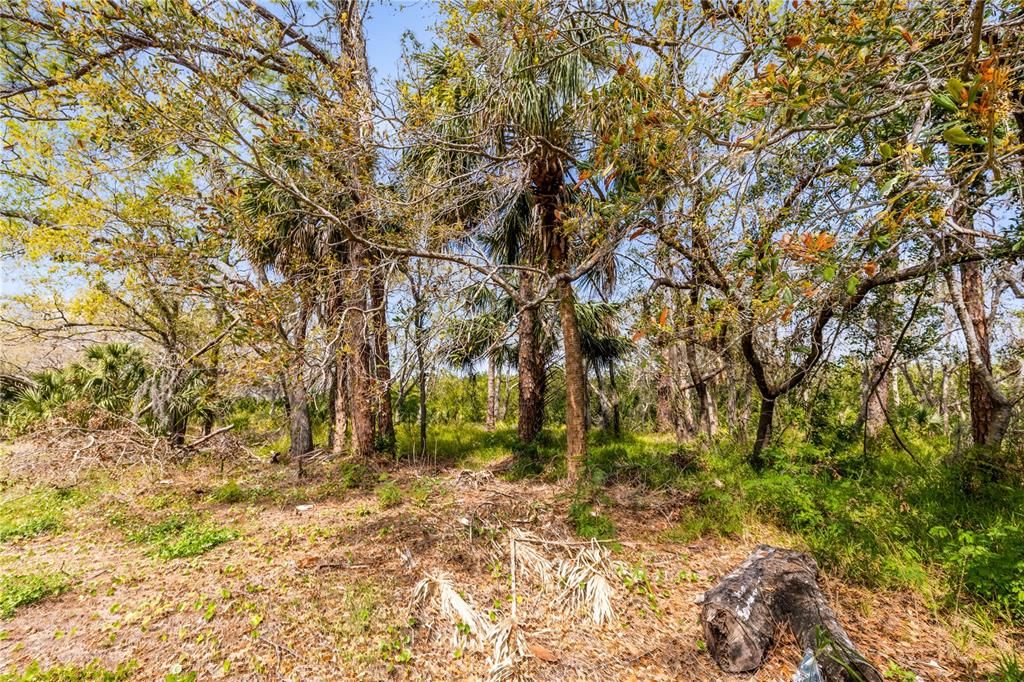 For Sale: $120,000 (0.28 acres)