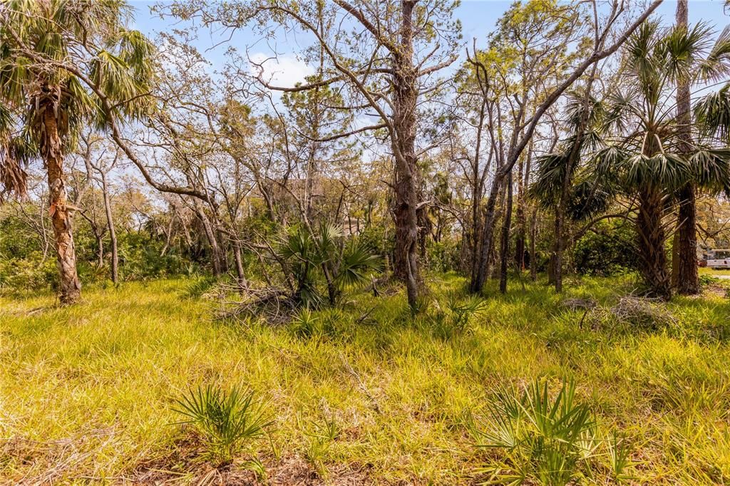 For Sale: $120,000 (0.28 acres)