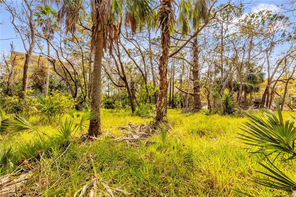 For Sale: $120,000 (0.28 acres)