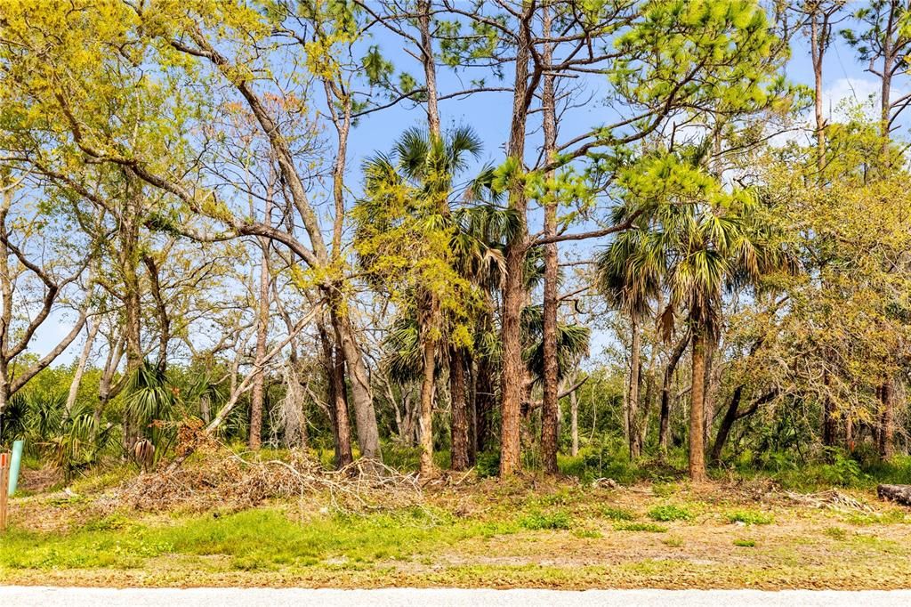 For Sale: $120,000 (0.28 acres)