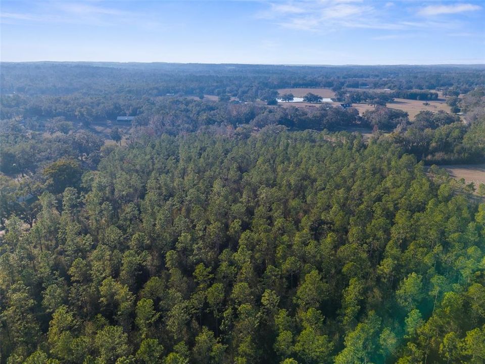 待售: $561,600 (11.70 acres)