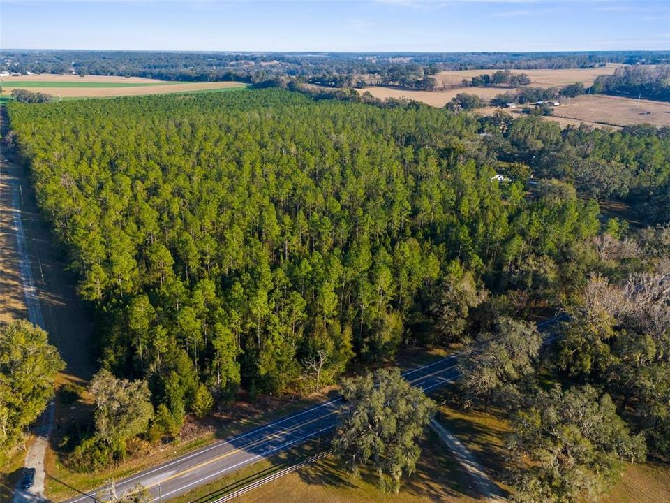 待售: $561,600 (11.70 acres)