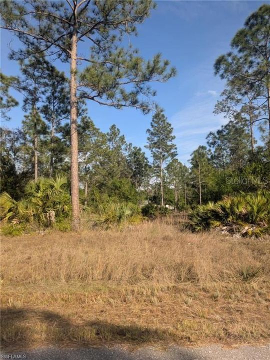 Recently Sold: $33,500 (0.50 acres)