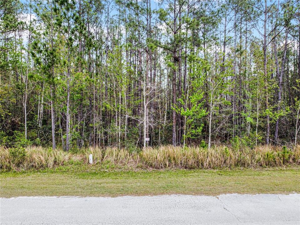 合同活跃: $349,000 (16.88 acres)