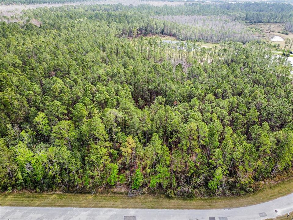 合同活跃: $349,000 (16.88 acres)