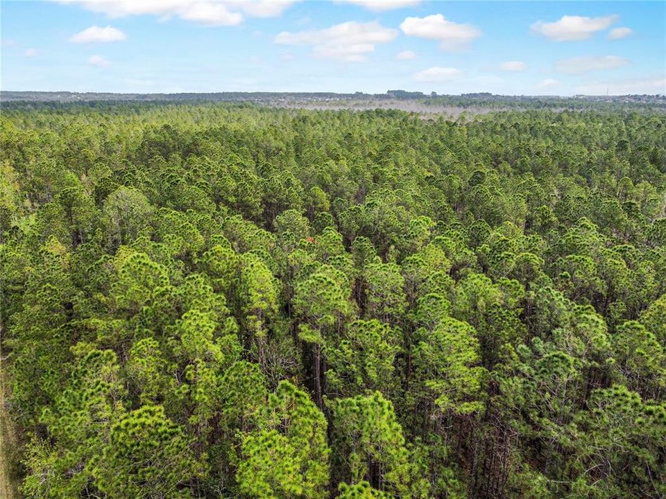 合同活跃: $349,000 (16.88 acres)