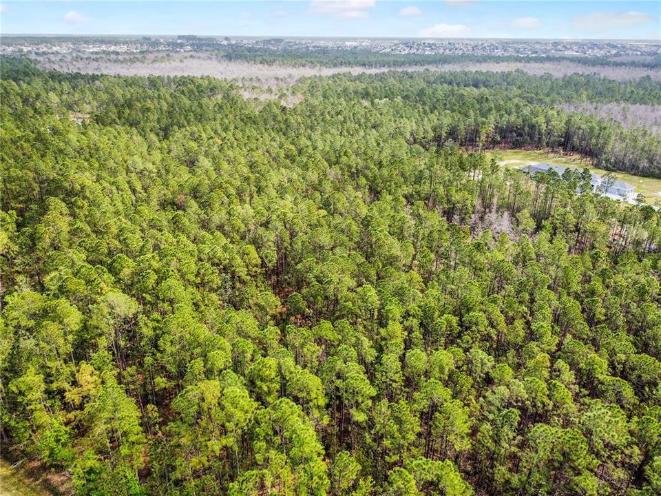 合同活跃: $349,000 (16.88 acres)