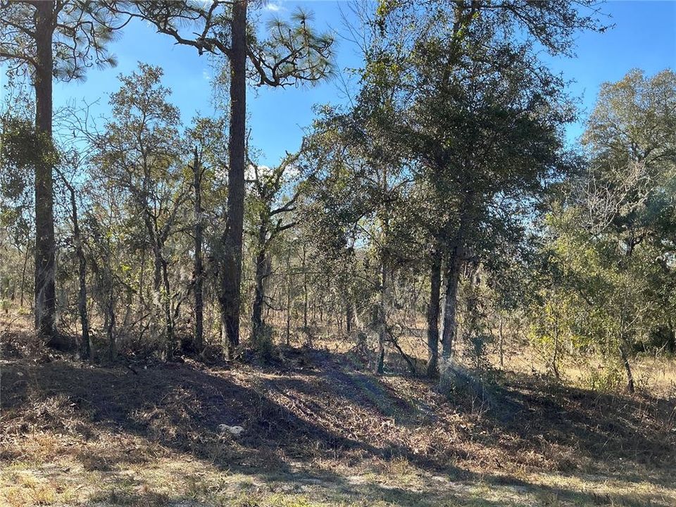 Vendido Recientemente: $17,000 (0.99 acres)