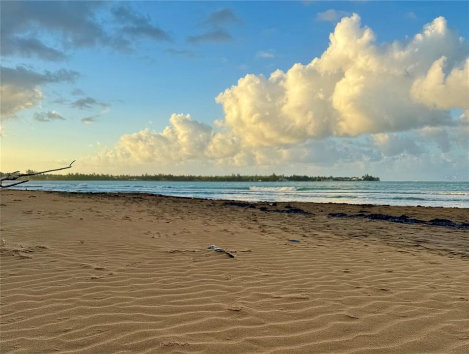 Recently Rented: $1,500 (2 beds, 2 baths, 636 Square Feet)