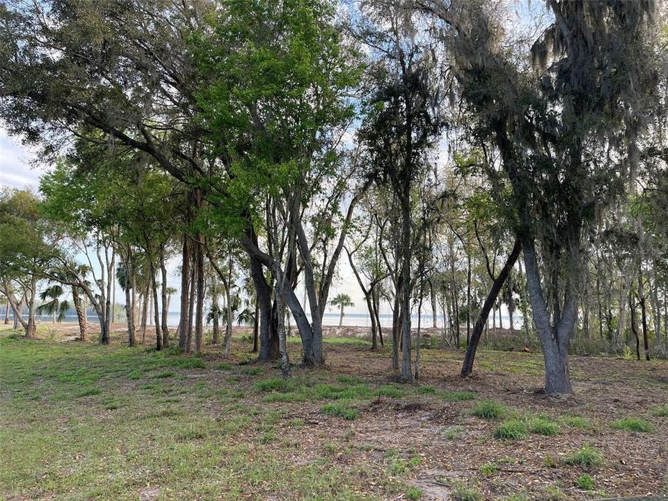 На продажу: $6,000,000 (2 спален, 2 ванн, 1458 Квадратных фут)