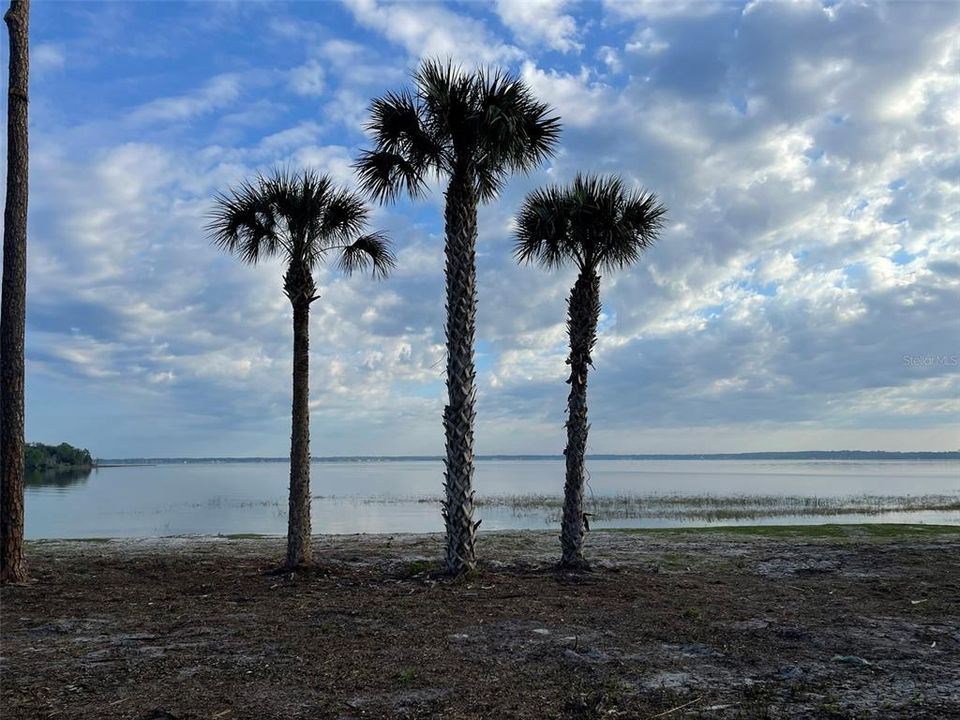 На продажу: $6,000,000 (2 спален, 2 ванн, 1458 Квадратных фут)