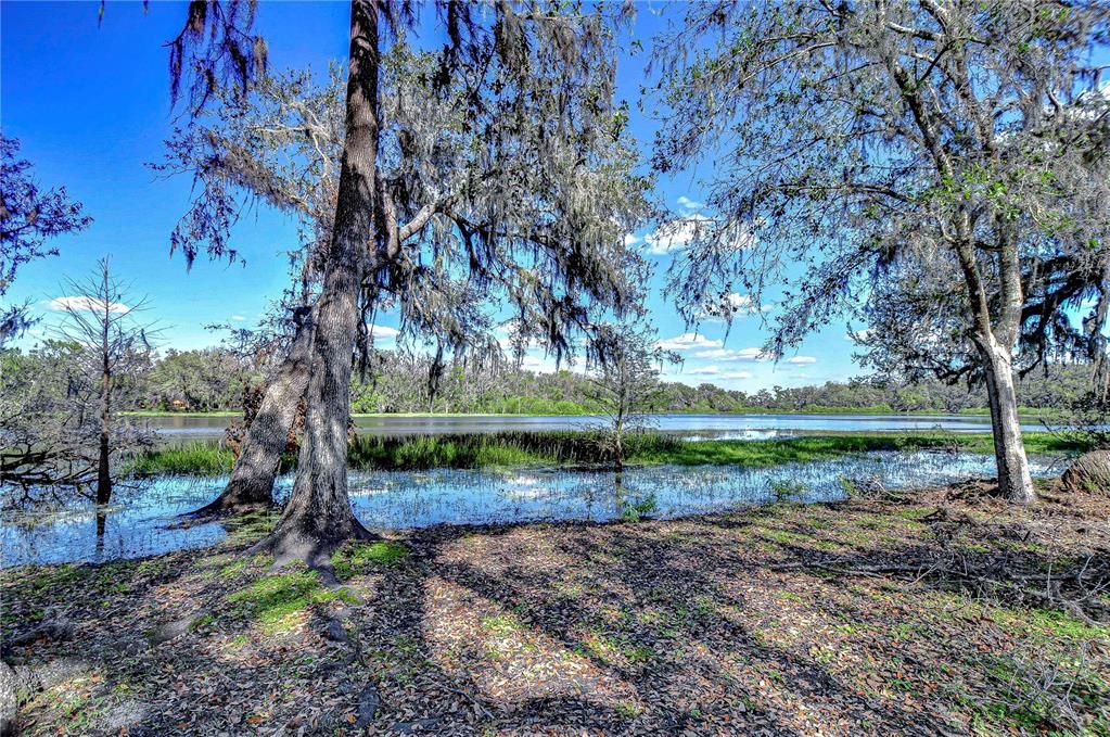 For Sale: $649,000 (3 beds, 2 baths, 2316 Square Feet)
