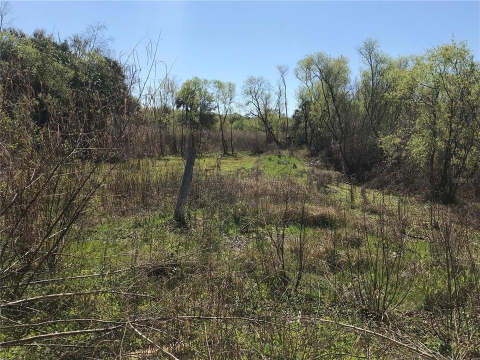 На продажу: $49,000 (2.11 acres)
