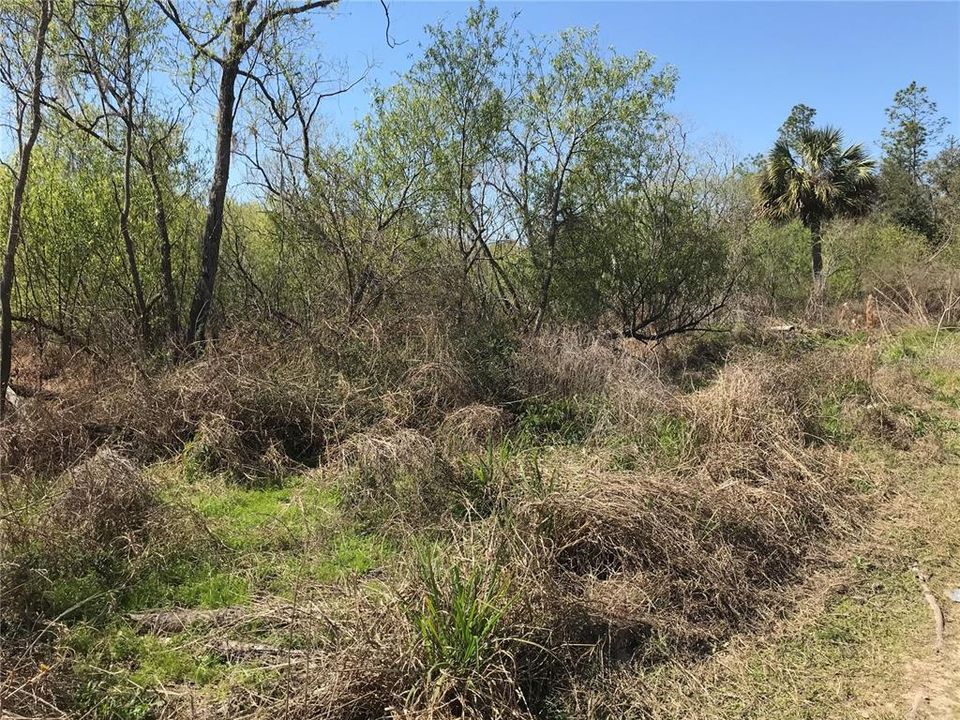 На продажу: $49,000 (2.11 acres)