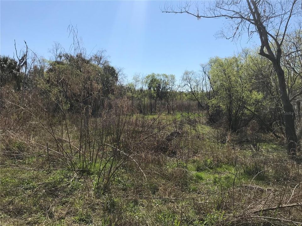 На продажу: $49,000 (2.11 acres)