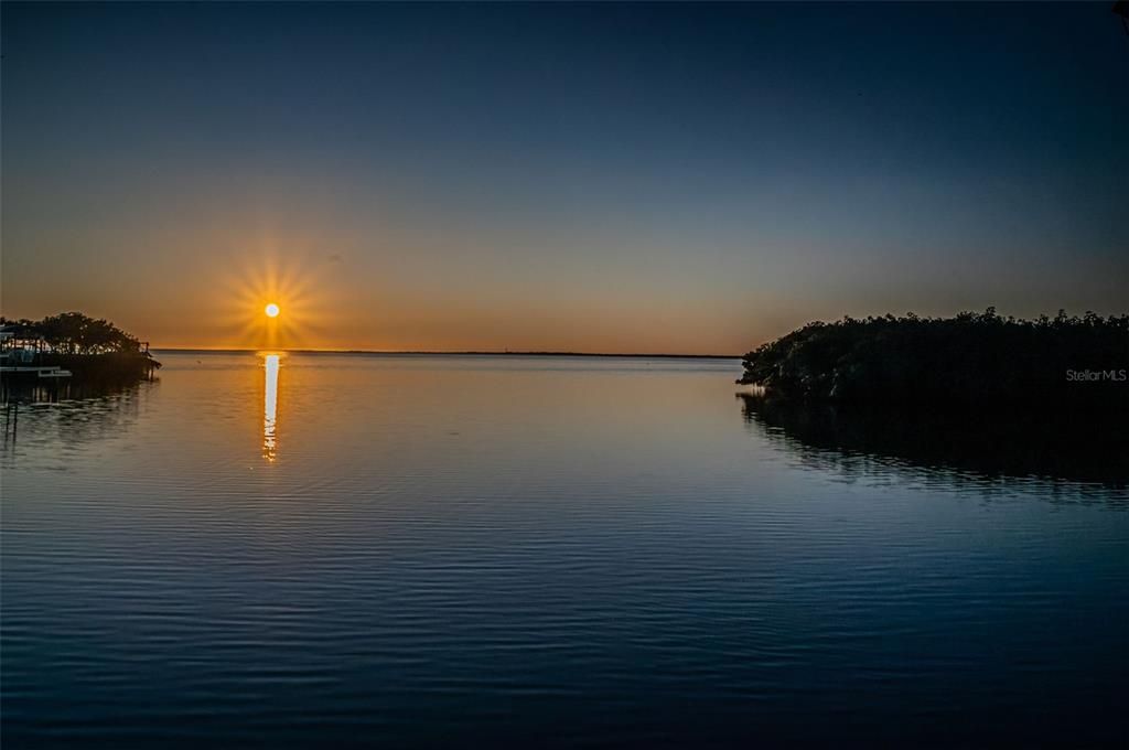 Под контрактом: $949,900 (3 спален, 2 ванн, 1600 Квадратных фут)