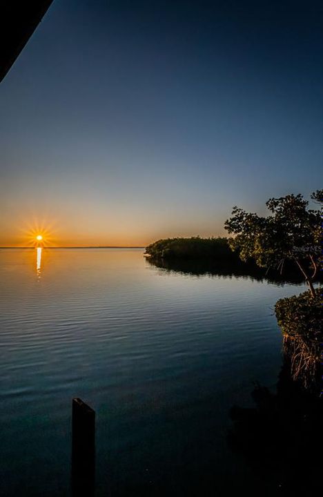 Под контрактом: $949,900 (3 спален, 2 ванн, 1600 Квадратных фут)