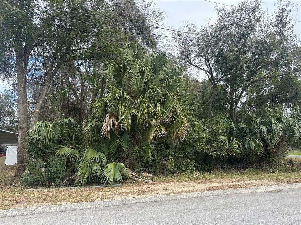 Recently Sold: $18,000 (0.22 acres)