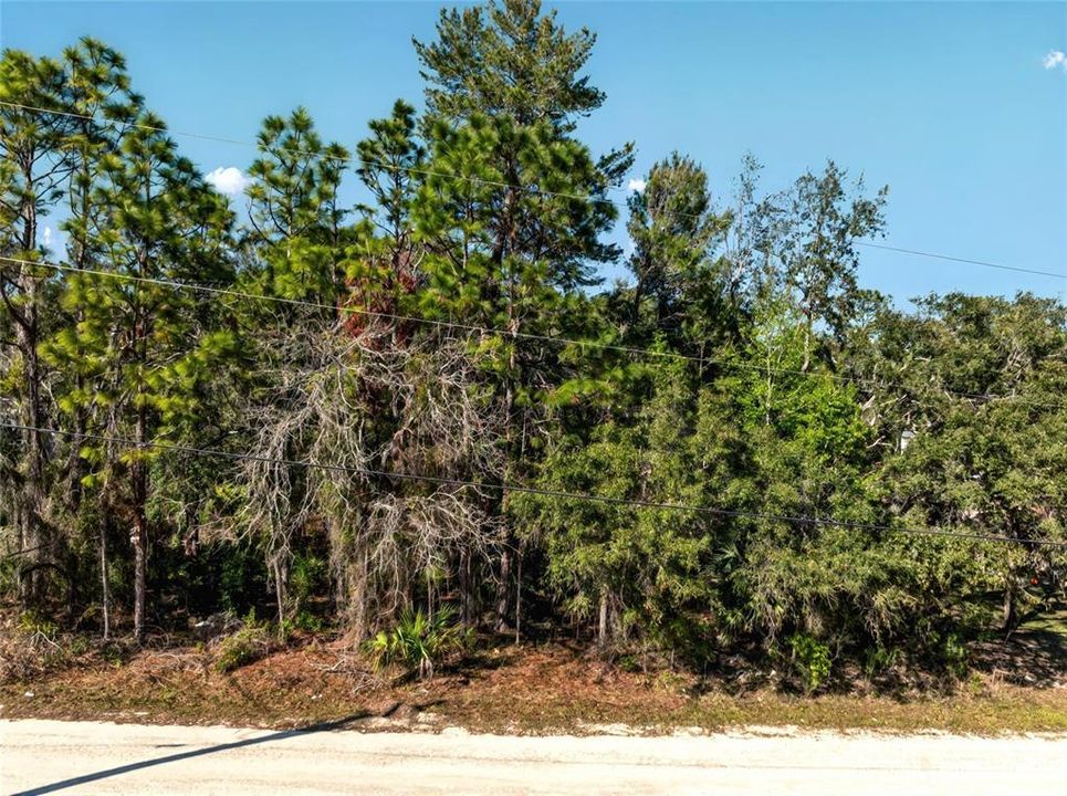 待售: $42,500 (0.34 acres)