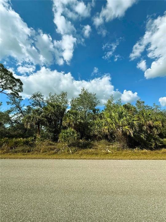 Activo con contrato: $11,500 (0.23 acres)