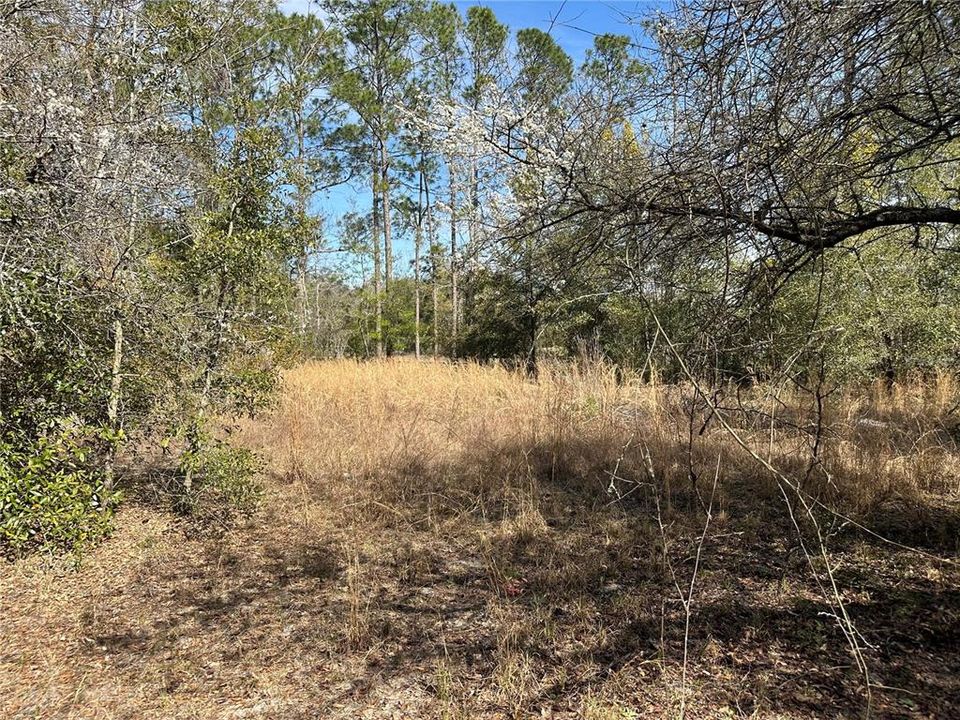 Недавно продано: $149,999 (2.33 acres)