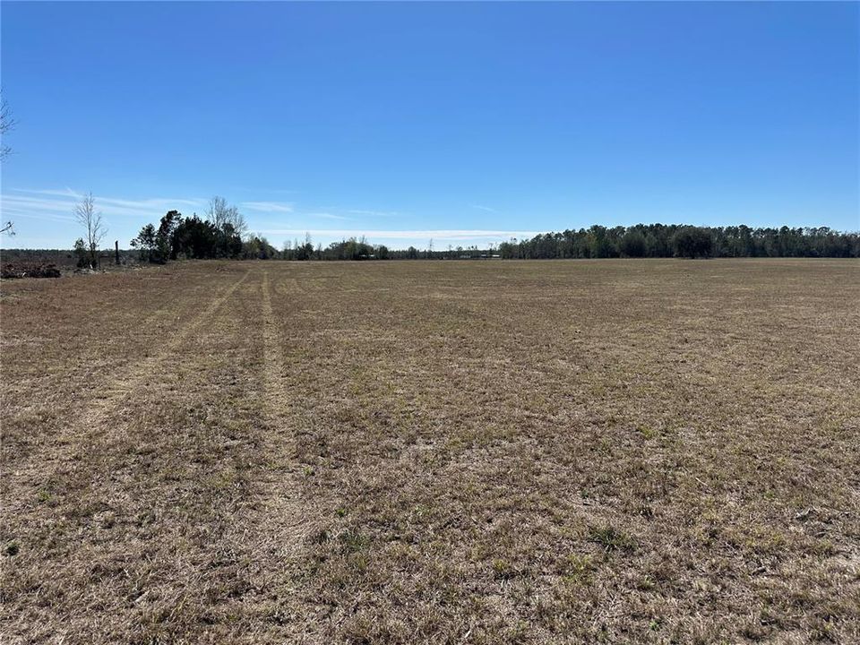 For Sale: $995,000 (5 beds, 3 baths, 2820 Square Feet)