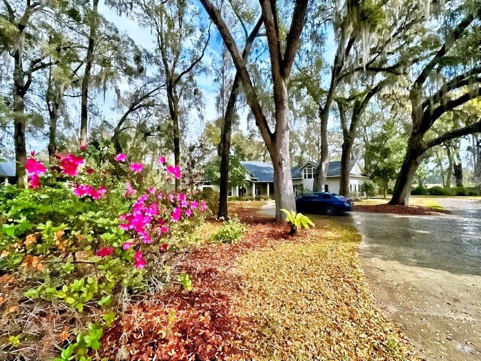 待售: $899,900 (5 贝兹, 3 浴室, 4110 平方英尺)