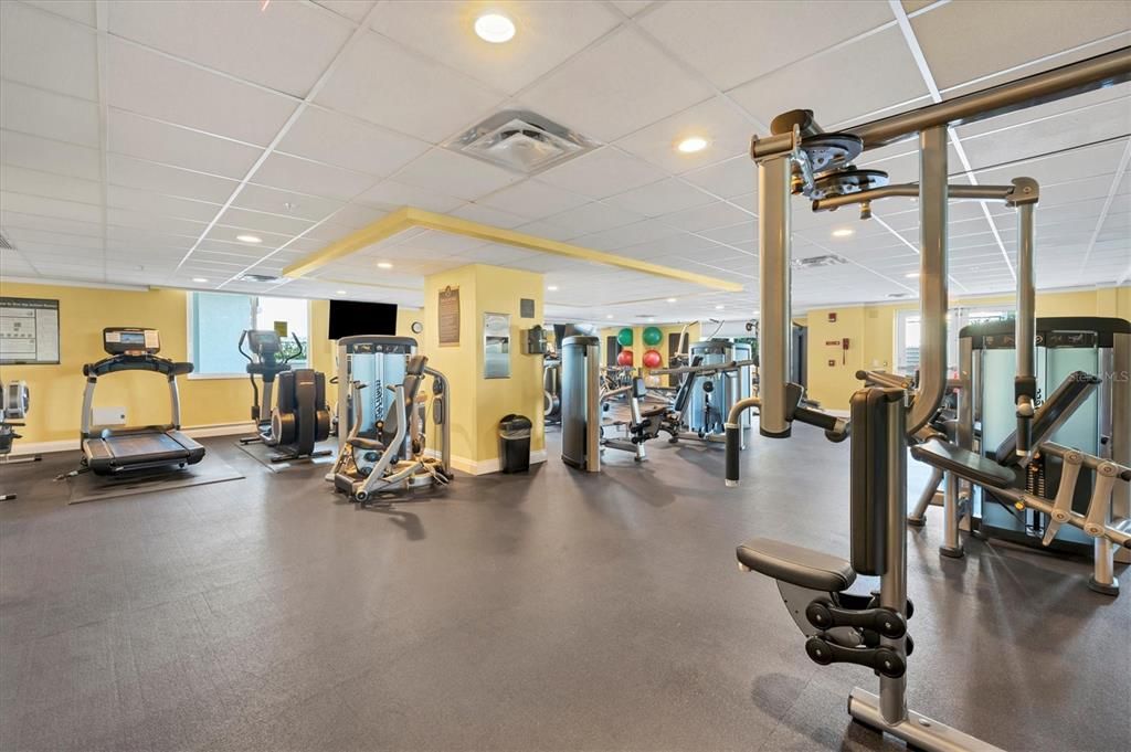 合同活跃: $3,250 (1 贝兹, 1 浴室, 1212 平方英尺)