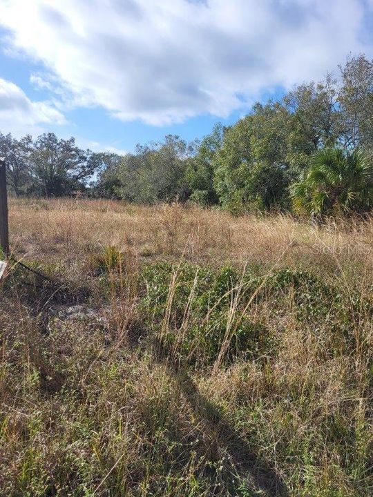 Active With Contract: $499,900 (1.84 acres)