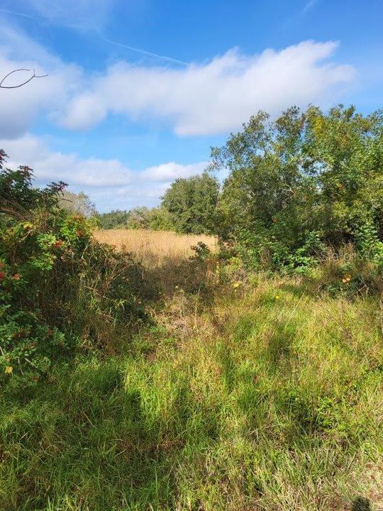 Active With Contract: $499,900 (1.84 acres)