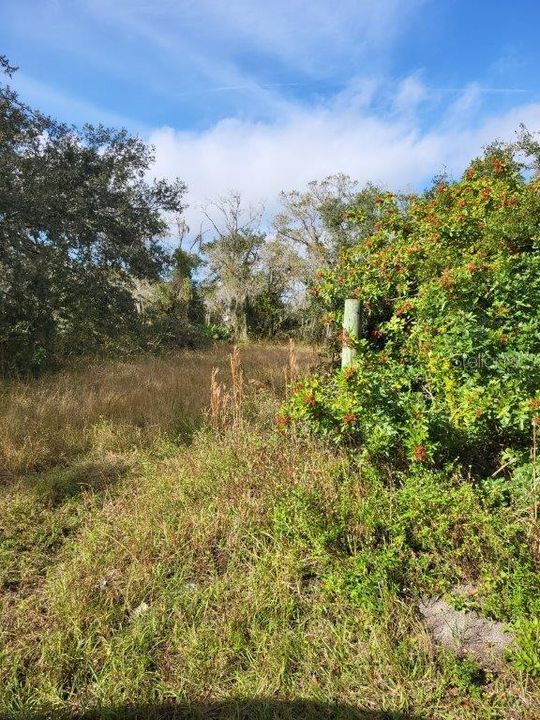 Active With Contract: $499,900 (1.84 acres)