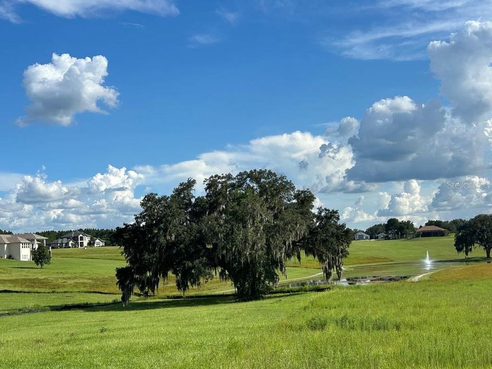 Vendido Recientemente: $129,900 (2.65 acres)