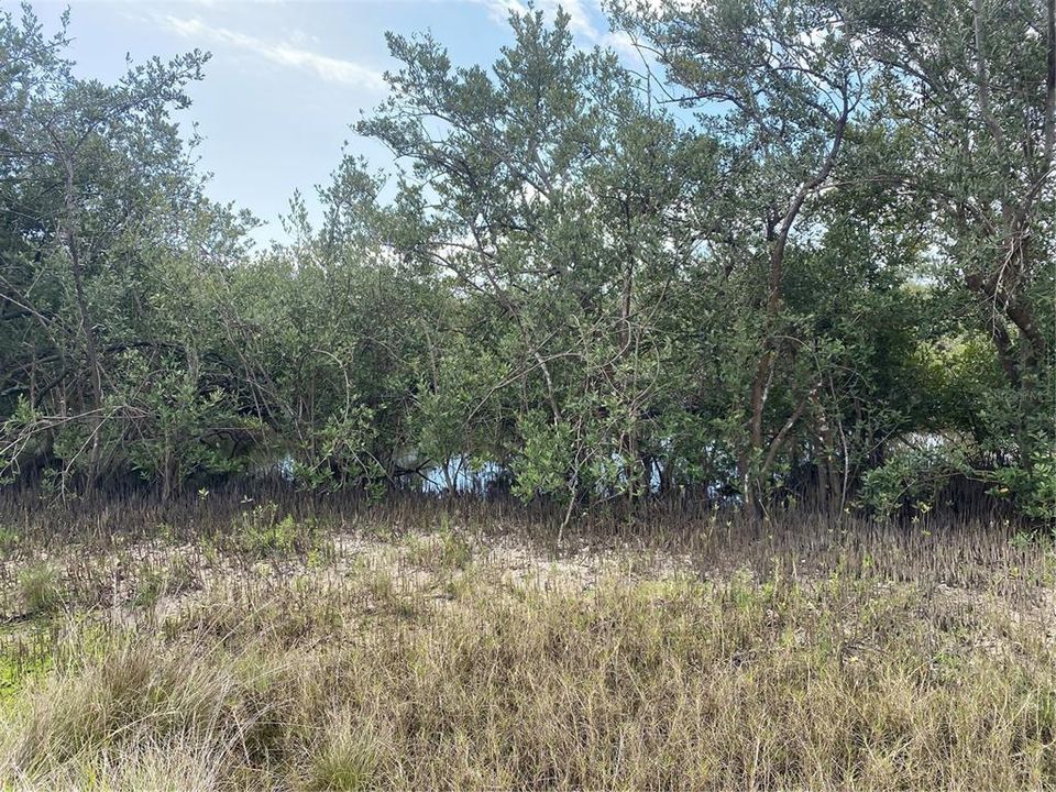 На продажу: $194,000 (0.17 acres)