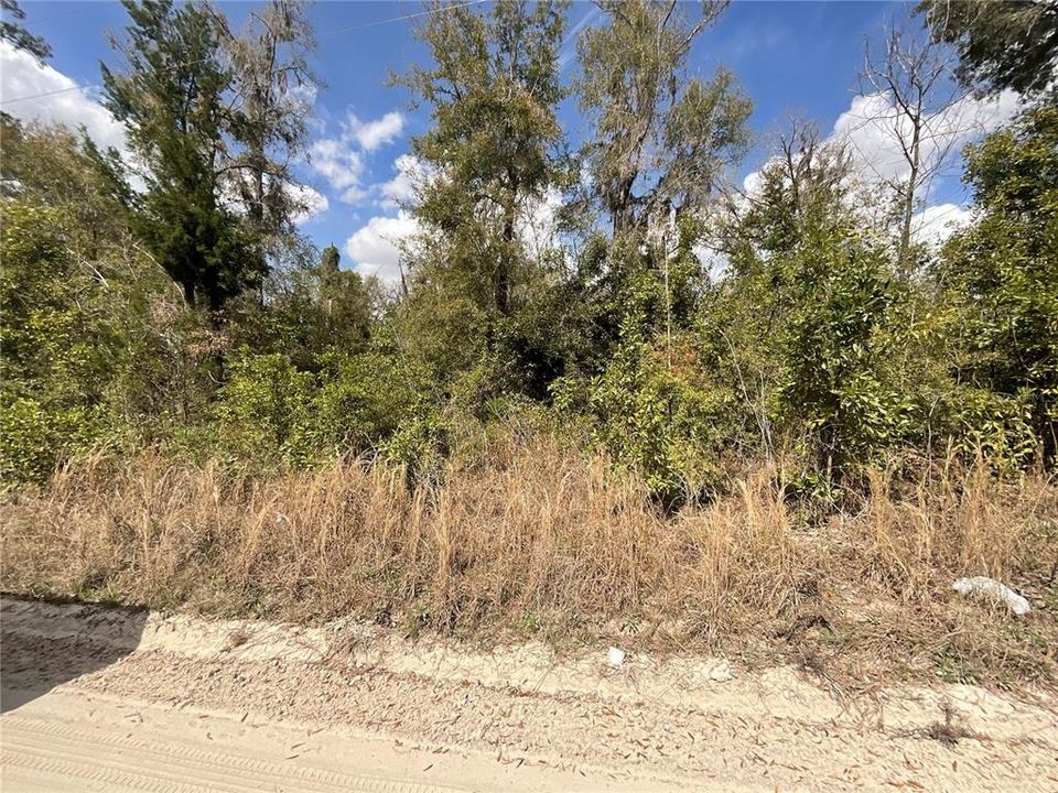 待售: $85,000 (7.95 acres)