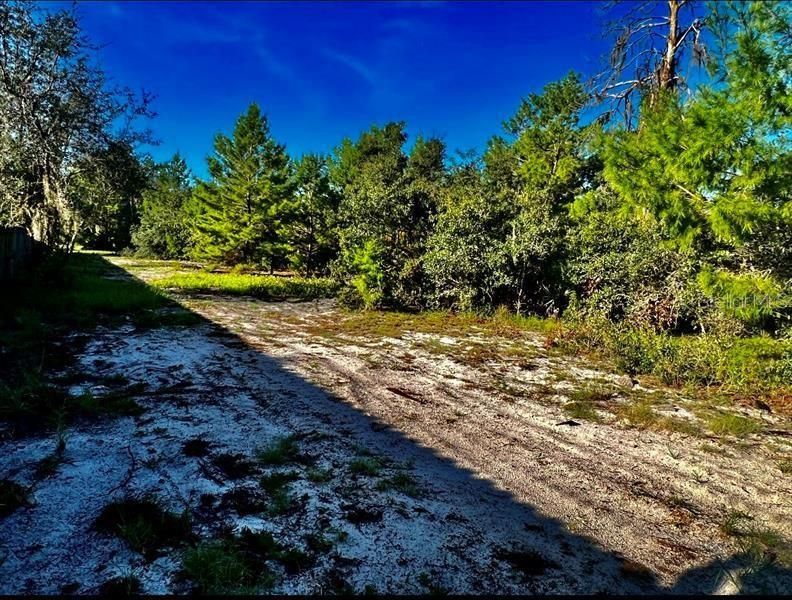 For Sale: $99,900 (2.47 acres)