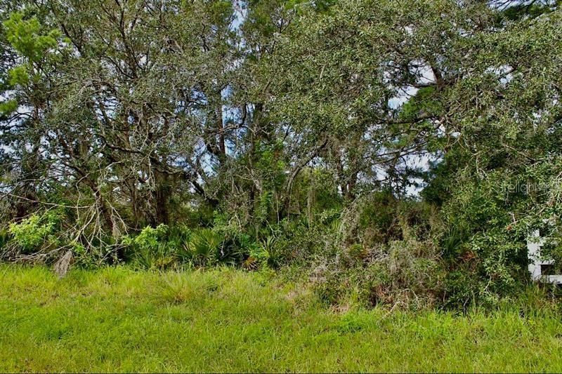 For Sale: $99,900 (2.47 acres)