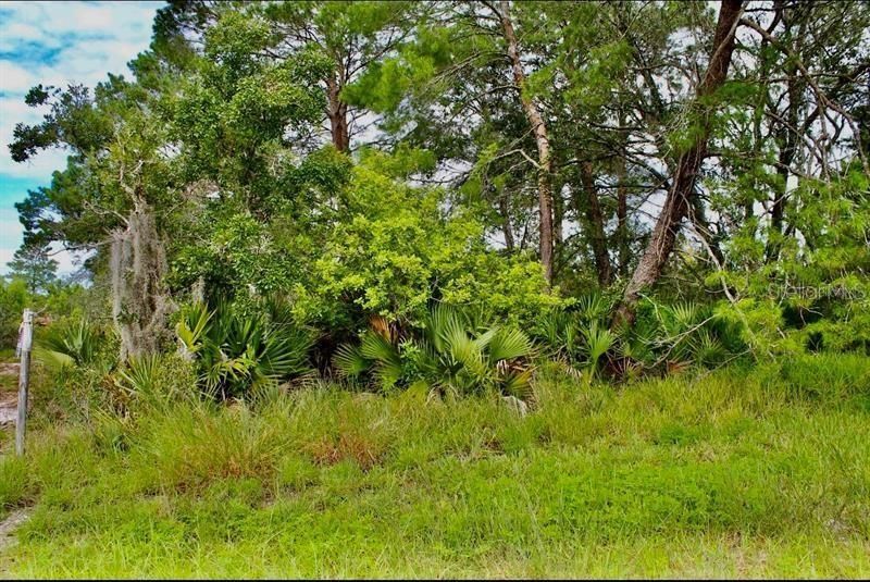 For Sale: $99,900 (2.47 acres)