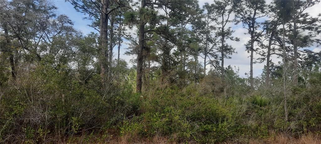 Недавно продано: $15,000 (0.50 acres)