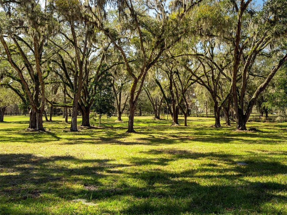 For Sale: $2,995,000 (26.77 acres)